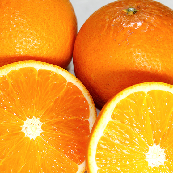 柑橘類イメージ