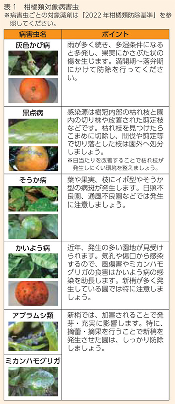 柑橘類対象病害虫