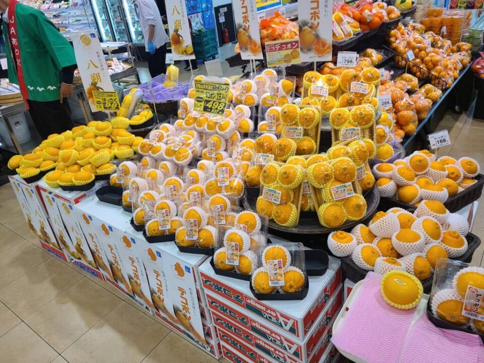 ＡＱ選果場柑橘部会で消費宣伝を行いました！！
